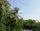1 BHK Flat for Sale in Alwarpet